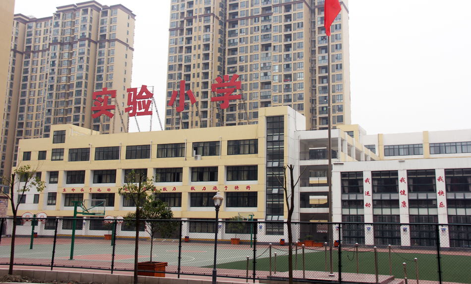 图片1